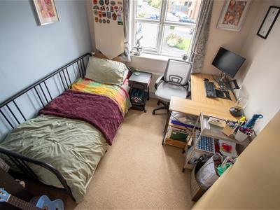Picture 9